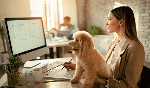 small business web design company melbourne